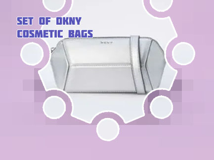 Dkny cosmetic bag