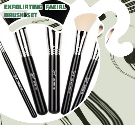 Facial brush kit