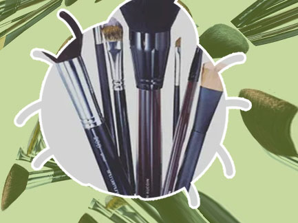 Natural makeup brushes